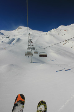 IMG-4081.JPG