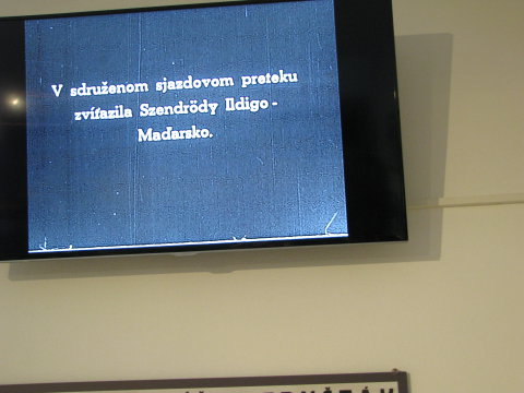 Itt olvasható a neve. Egyébként Ildikó néni idén 85 éves, 102 szeres bajnoknő!