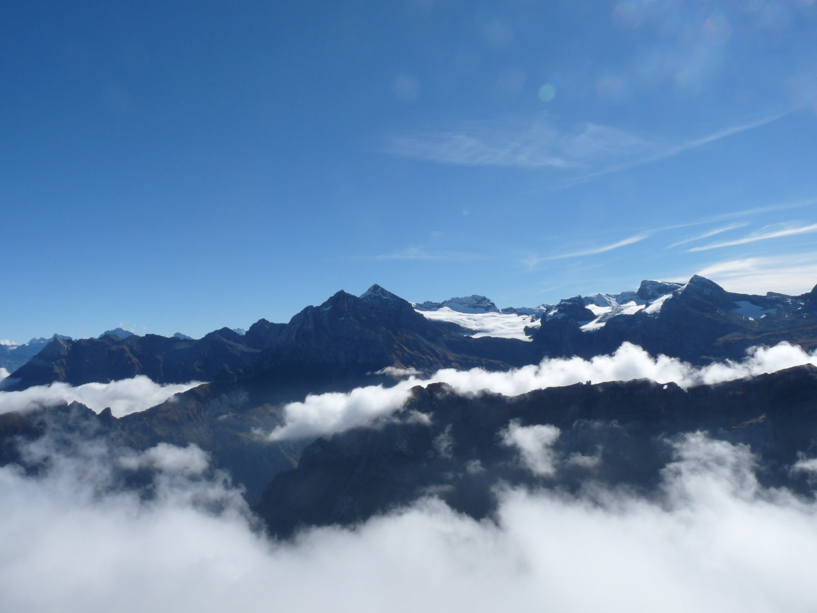 890 szemben az Urirotstock
