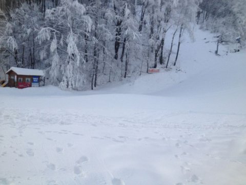 IMG-1858.JPG
