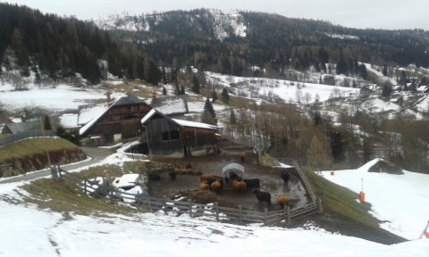 St.Michael, bizonyíték, hogy a sípályák legelők nyáron:) 