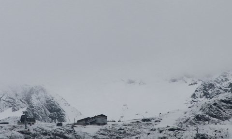 IMG-7803.JPG