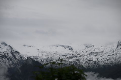 IMG-7804.JPG