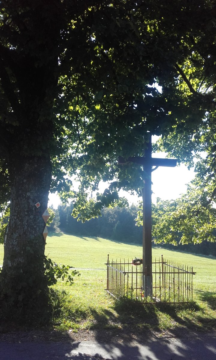 A felvonó felső állomásánál (Dóval)