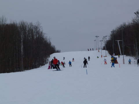 P1300053.JPG