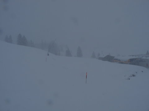 az oszlopok alapján tudtam hol a pálya  széle