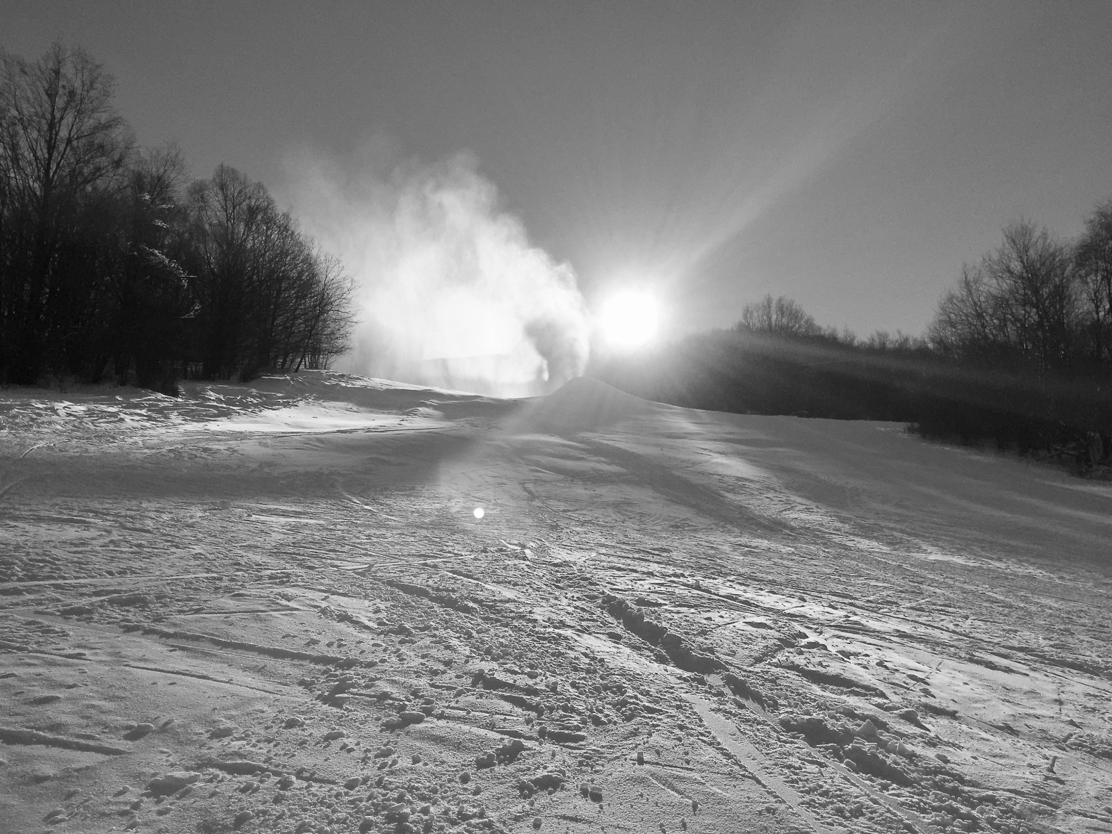 IMG-1961.jpg
