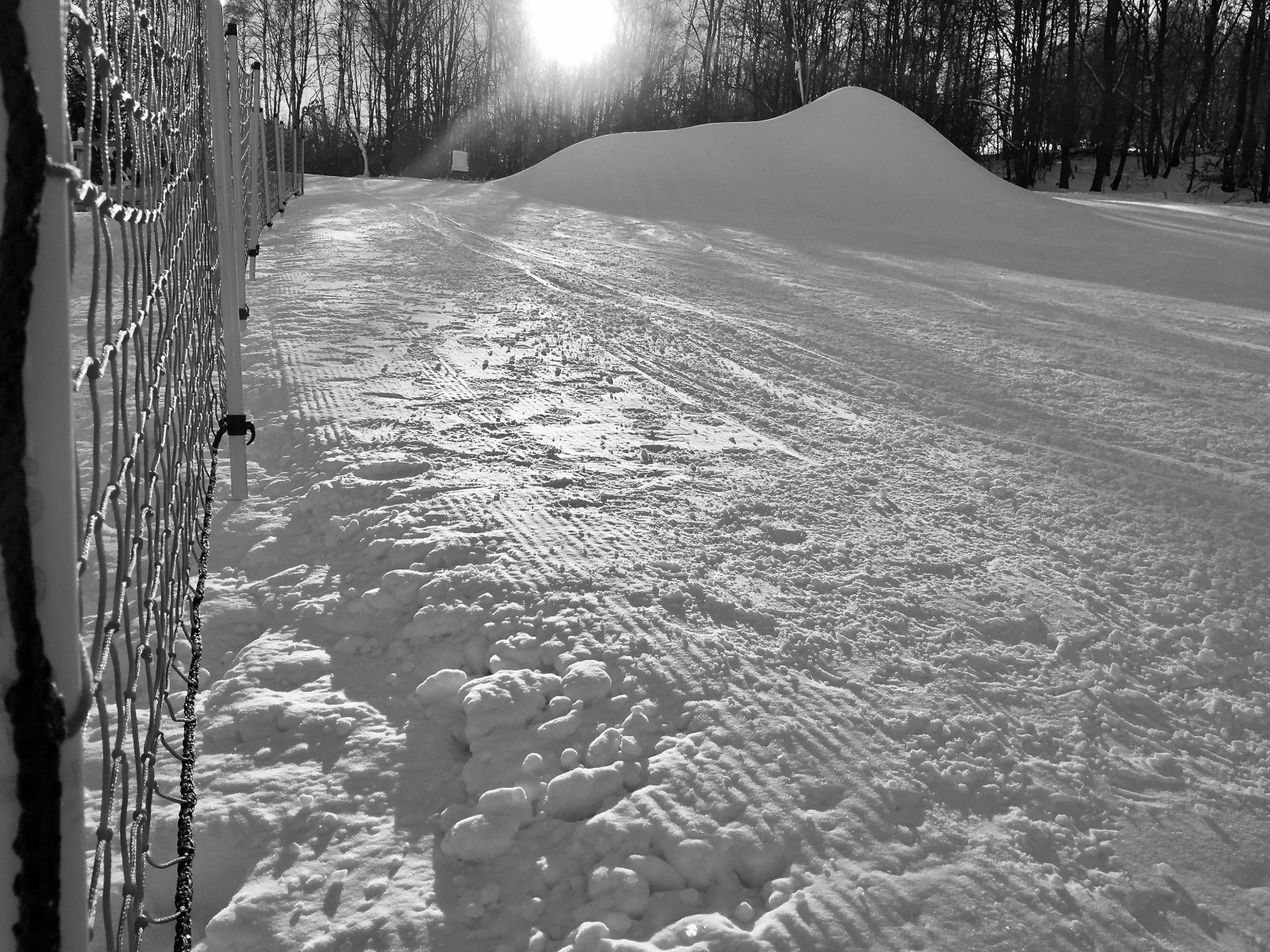 IMG-1963.jpg