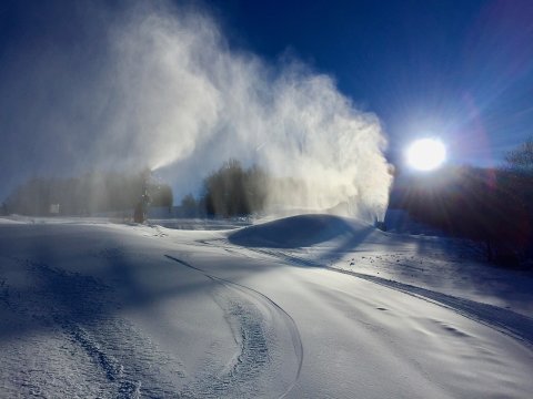 IMG-1946.jpg