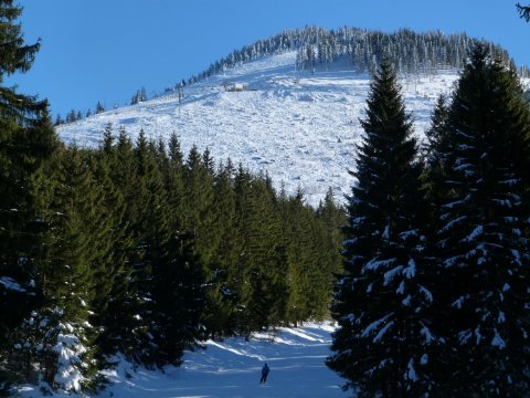Kleiner Ötscher 1560m