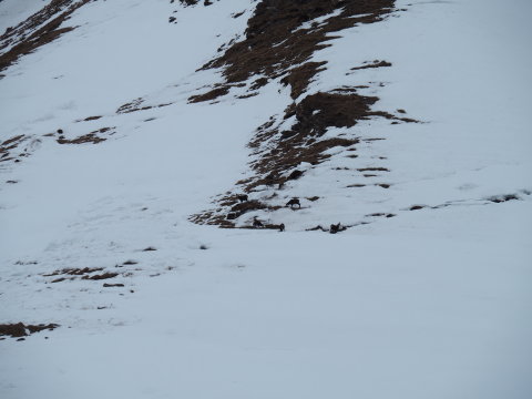 pályán kívül sok a zerge