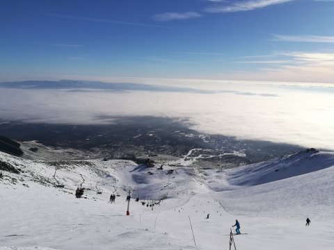 IMG-20180127-094918.jpg
