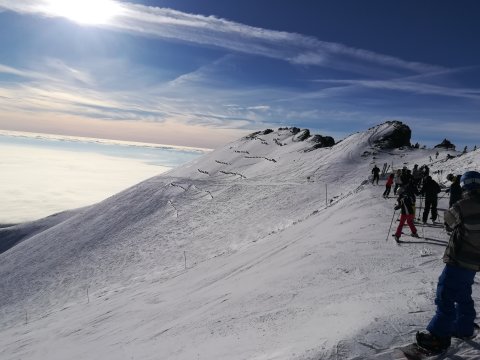 Mintha kútba néznének a sporttársak
