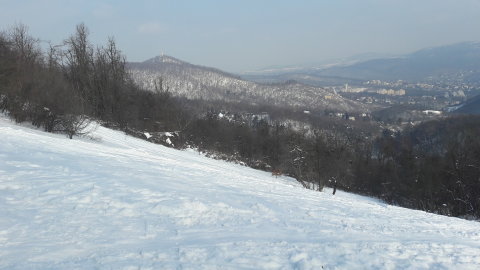 20180301-091431.jpg