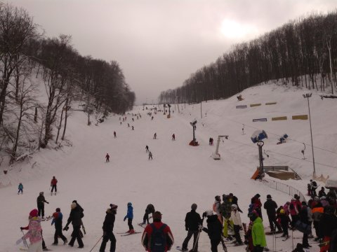 IMG-20180304-144818.jpg