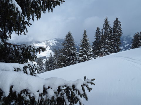 itt kezd kisütni a nap