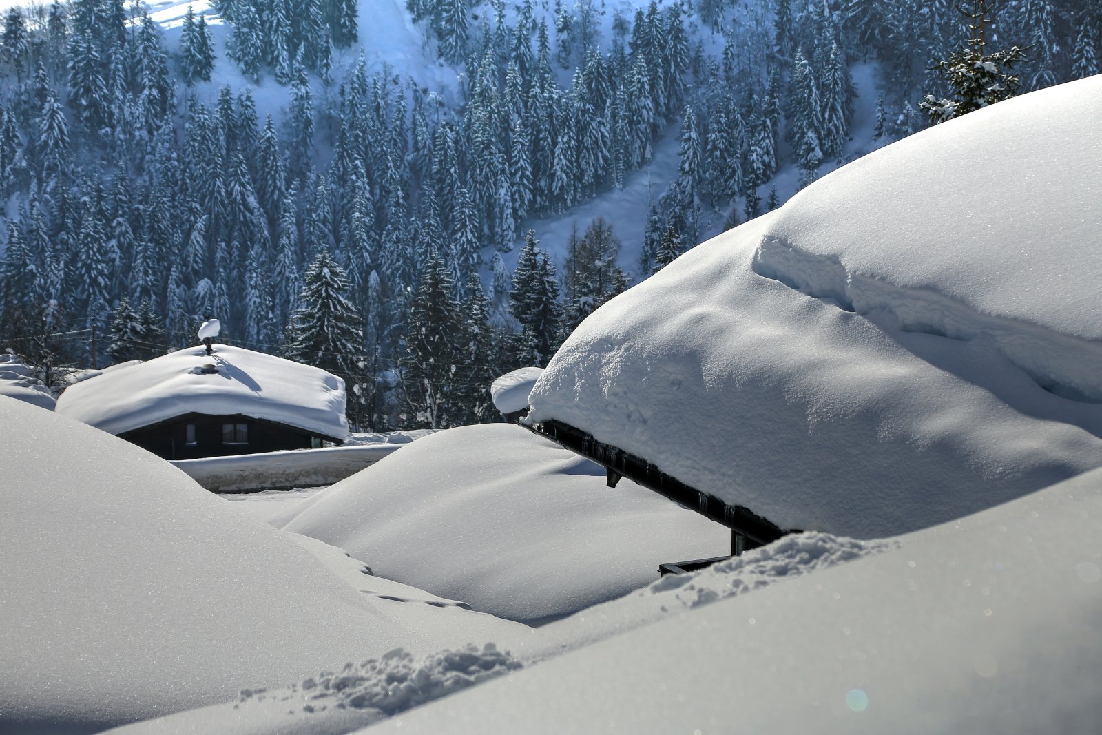 hochk20190127-7.jpg