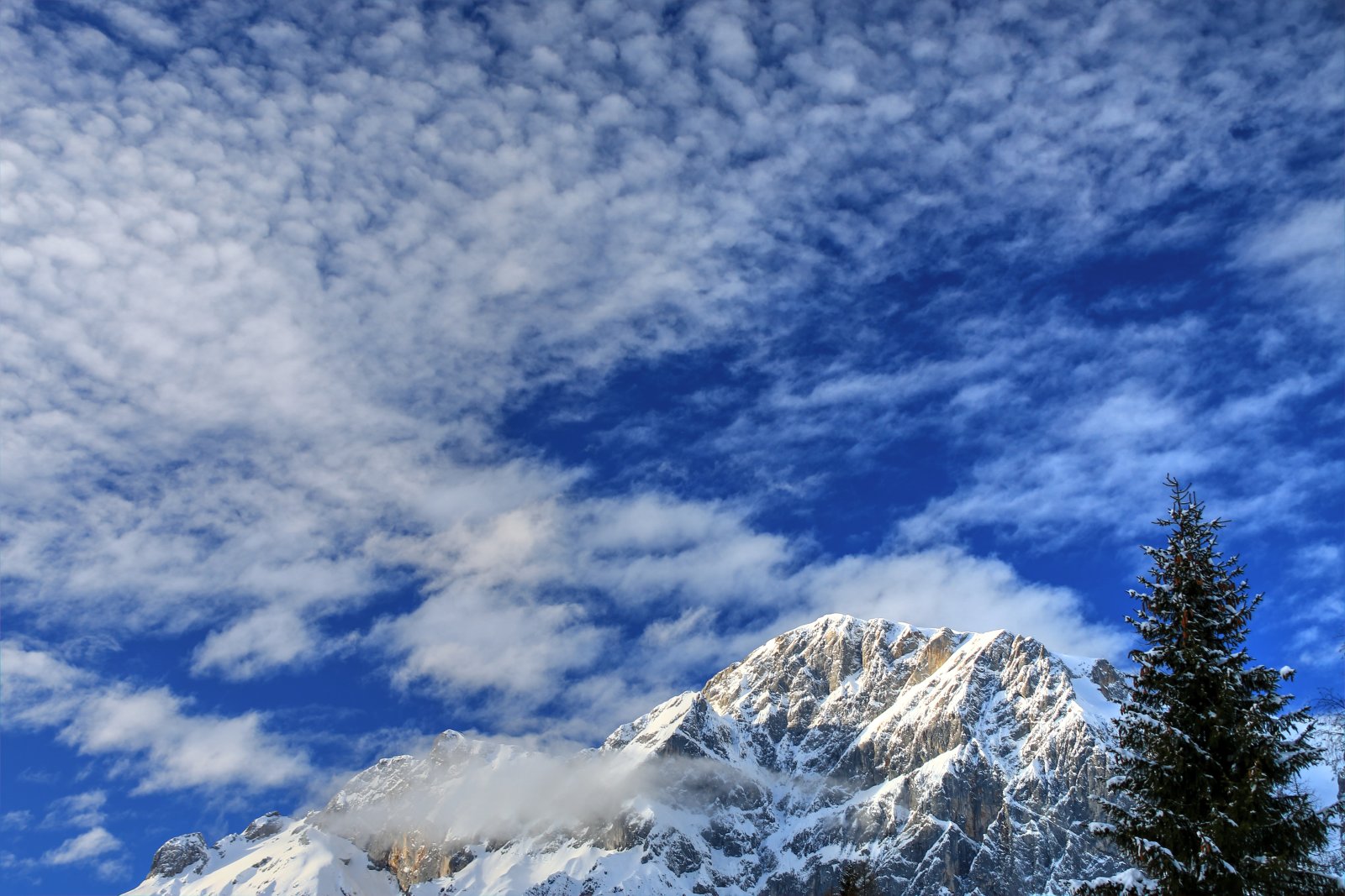 hochk20190127-9.jpg