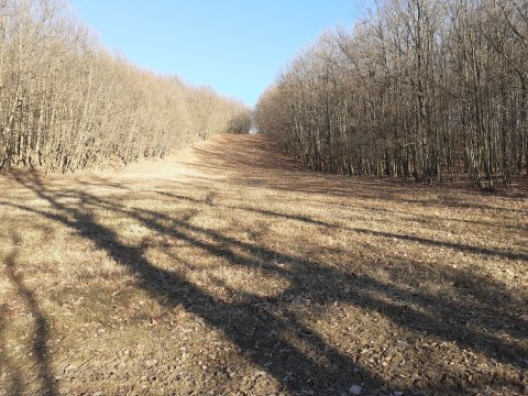 Sípálya a 24-es út 17-es kilométer kövétől nézve