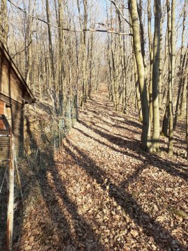 Sífelvonó nyomvanala is tiszta