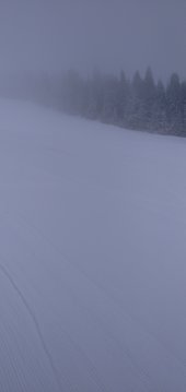 IMG-20200130-135739.jpg