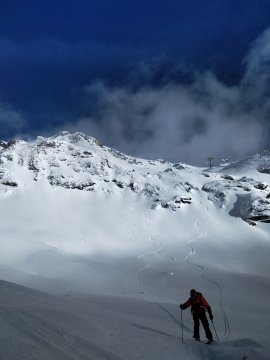 4 nyom, mind a miénk