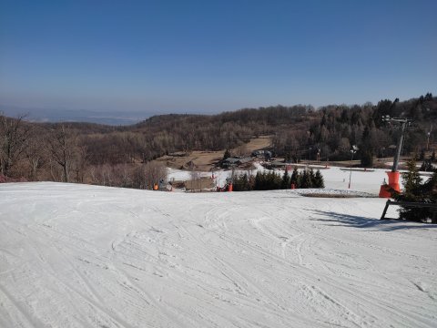 IMG-20220325-094844.jpg