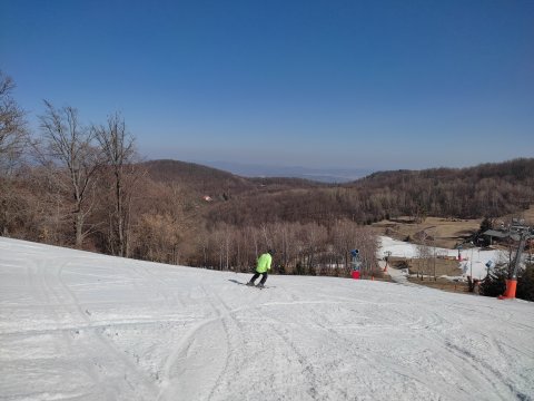 IMG-20220325-094921.jpg