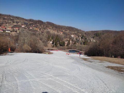 IMG-20220325-095655.jpg