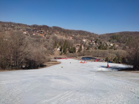 IMG-20220325-095700.jpg