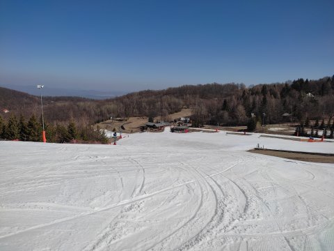 IMG-20220325-101440.jpg