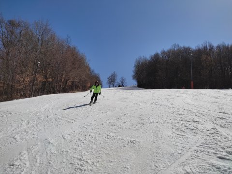 IMG-20220325-113804.jpg