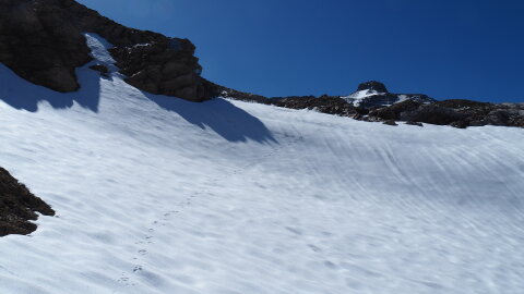 Itt már meredekebb az út de vannak nyomok