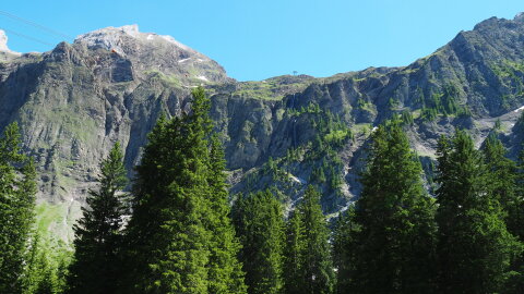 ezen a falon mentem fel illetve jöttem le, most már tudom hol az út de reggel nem hittem, hogy itt lesz út. Ez szinte függőleges fal