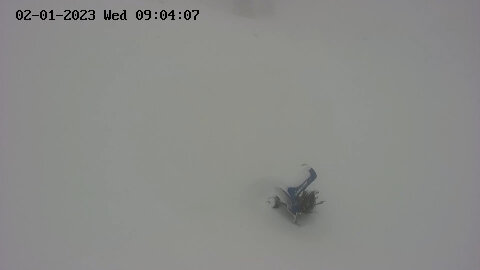 SnapShot-20230201-080029.jpg
