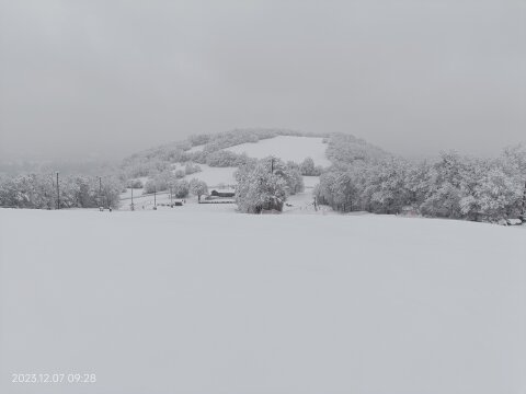 IMG20231207092849.jpg