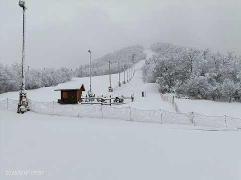 IMG20231207093756.jpg