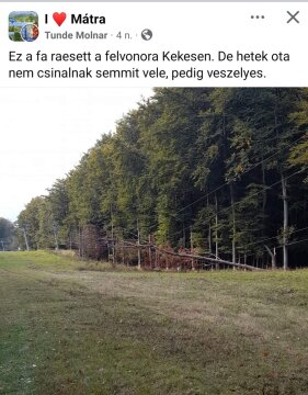 Screenshot-20241014-120916-Facebook.jpg