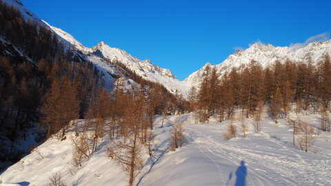 Fél hat körül érkeztem a völgybe