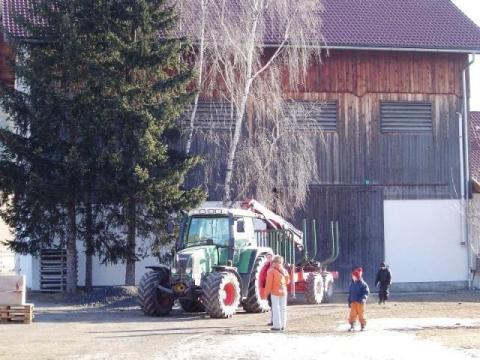 Házigazdánk udvara