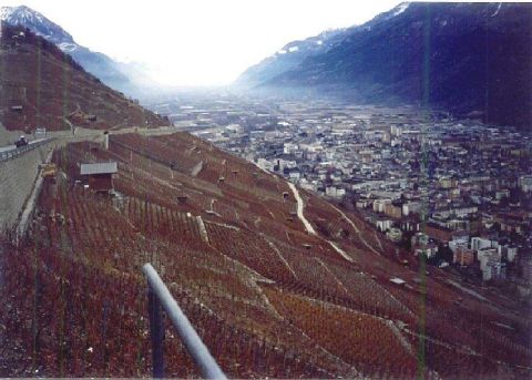 Fr-botildel-at-Svajcba-lent-Martigny.jpg