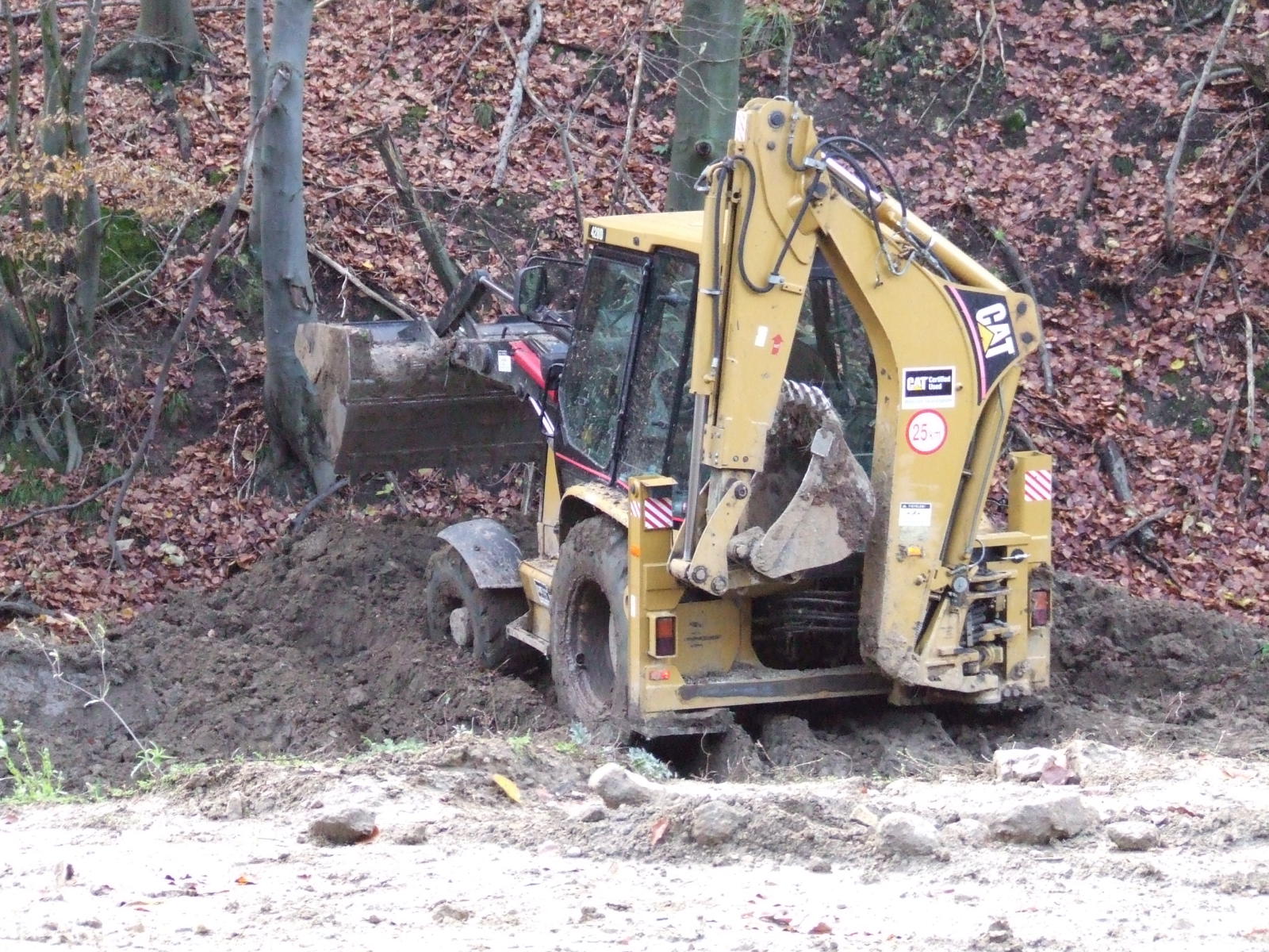 DSCF4616.JPG