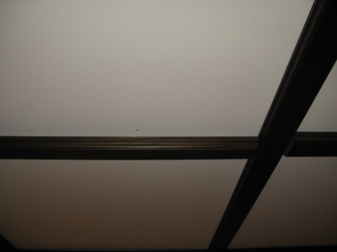 IMG-4992.JPG