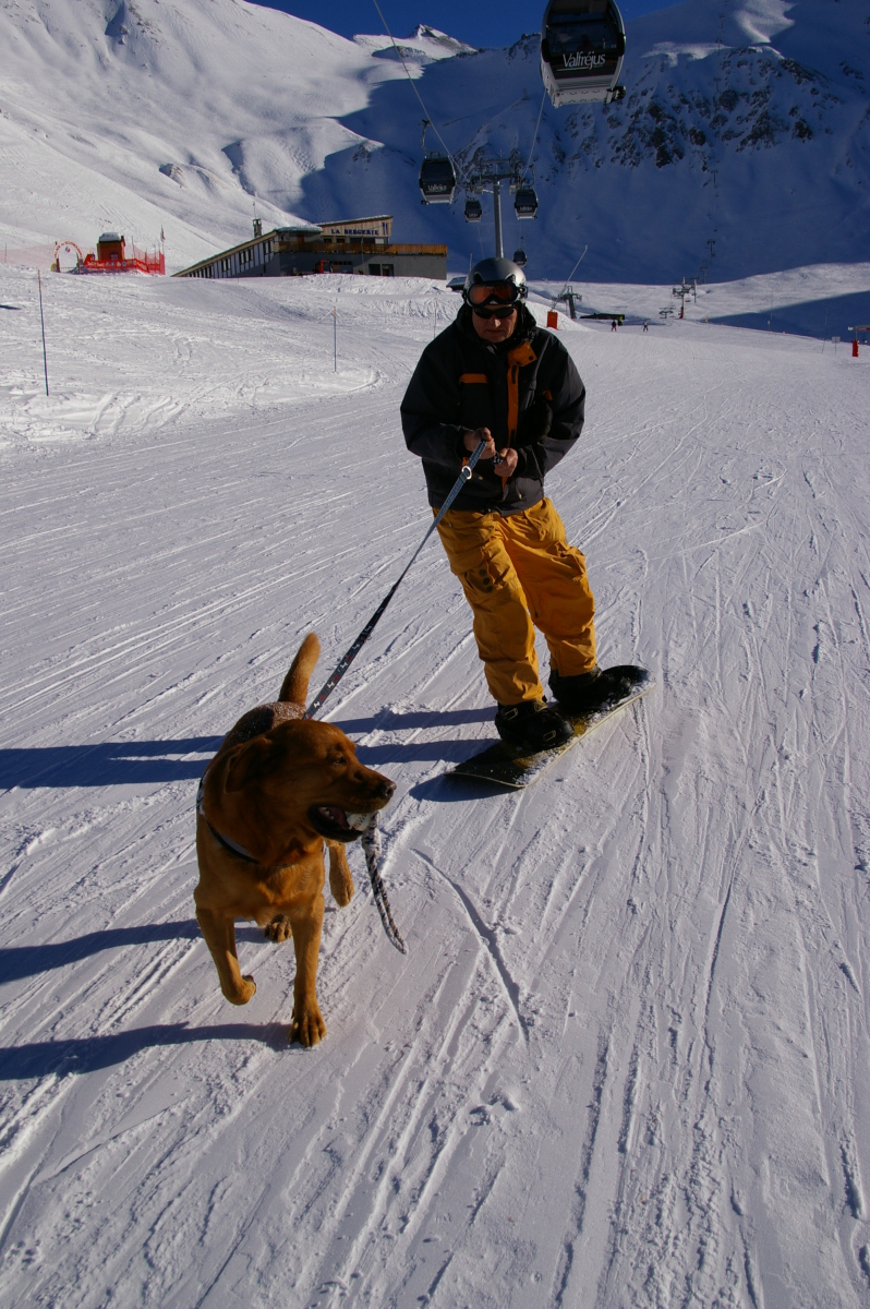 Amikor a sielők botolnak
