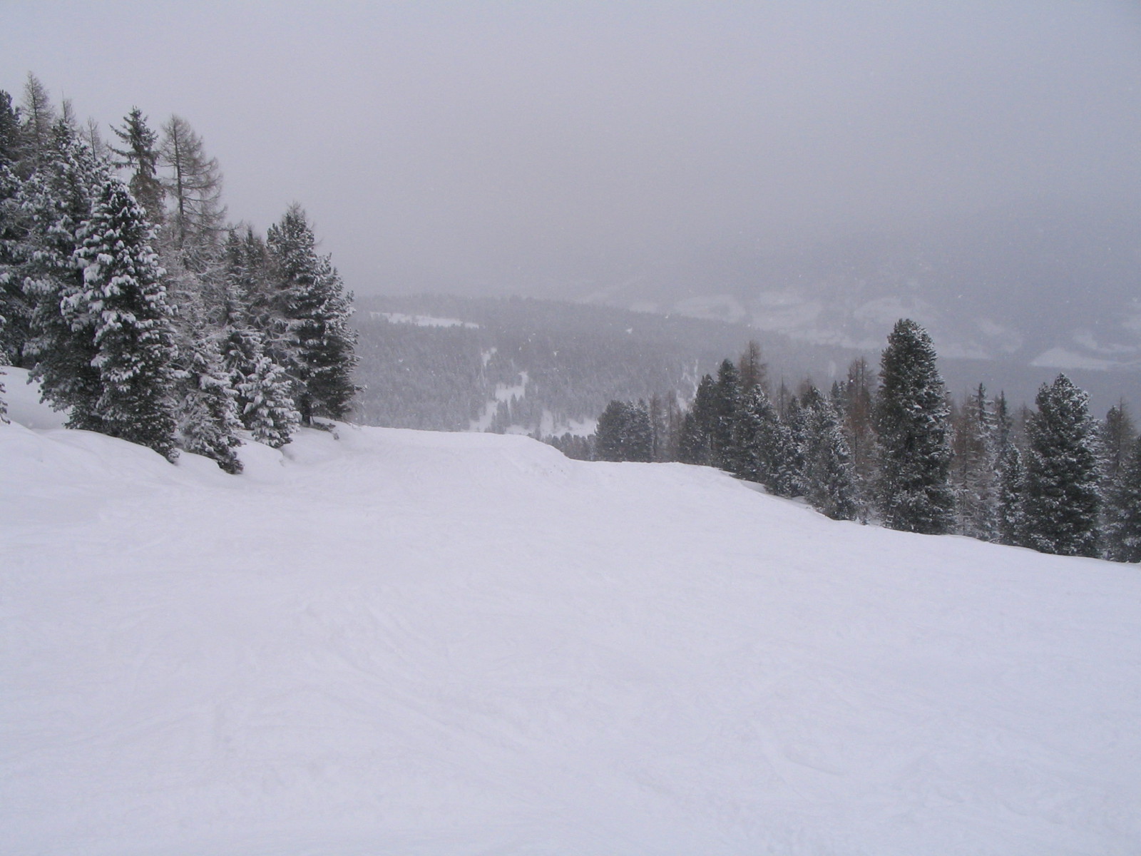 IMG-4940.JPG