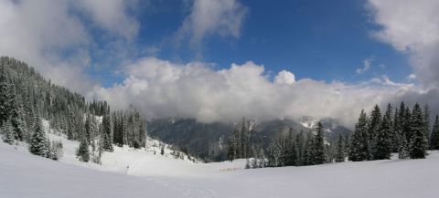 Pano.jpg