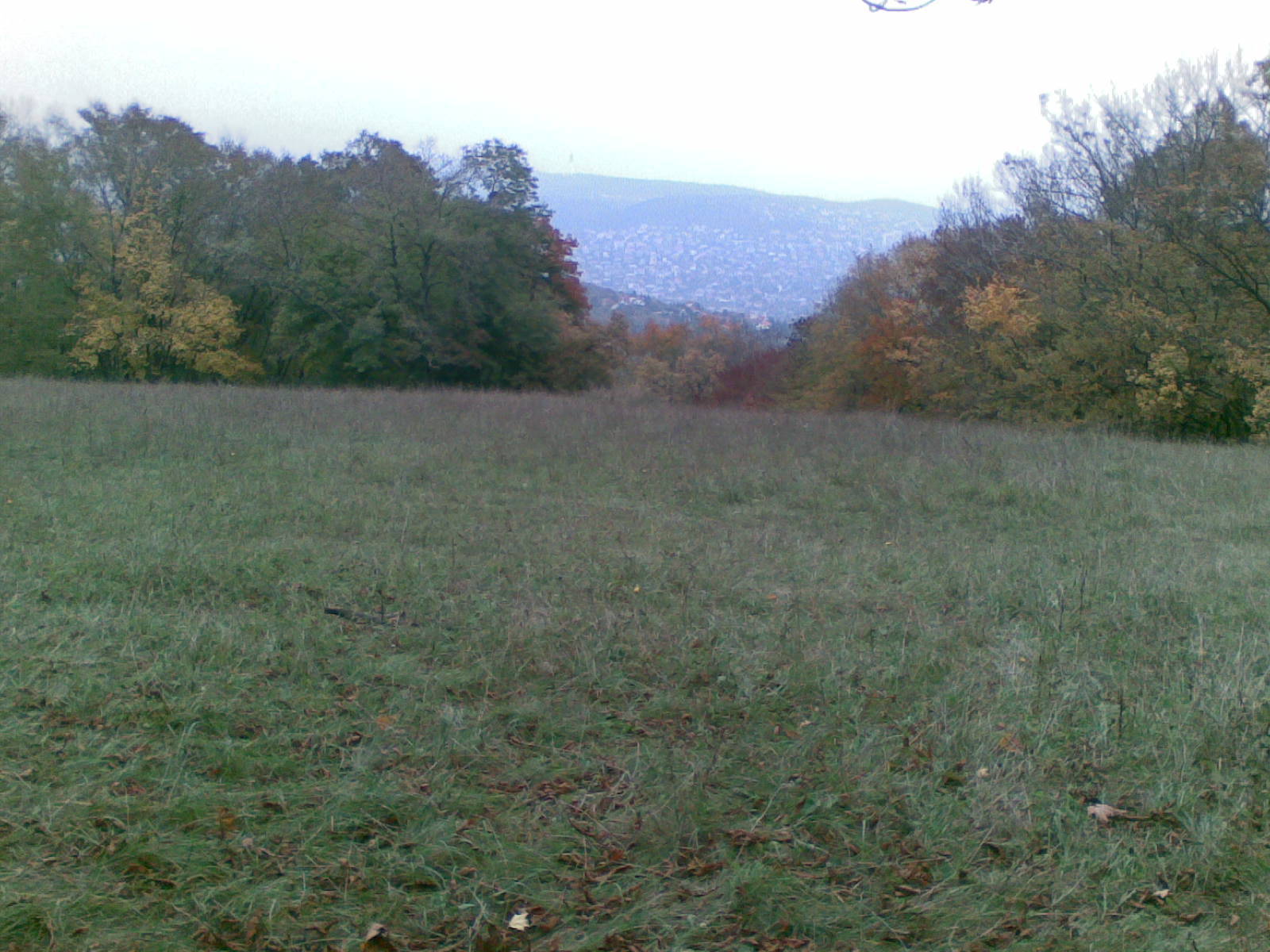 Itt még elfogadható a gyep.