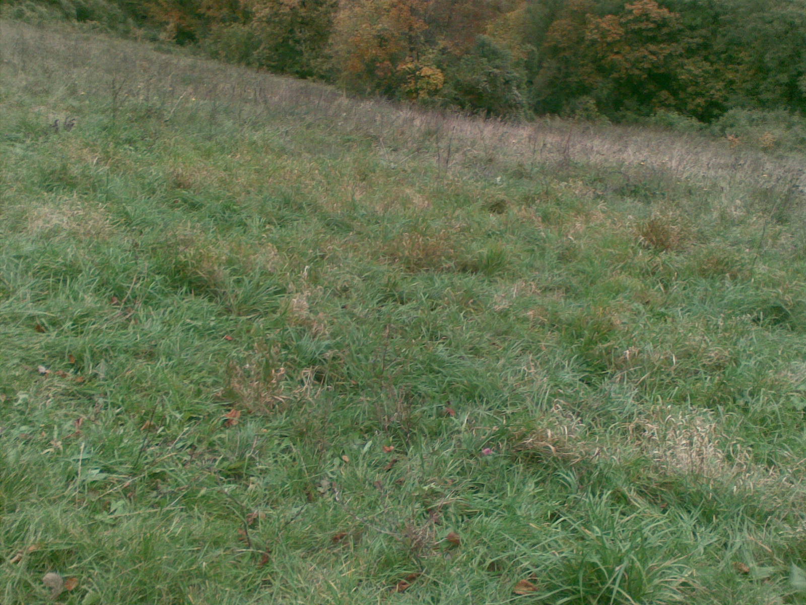 Elég vastag hótakaró kellene az ideális pályához.