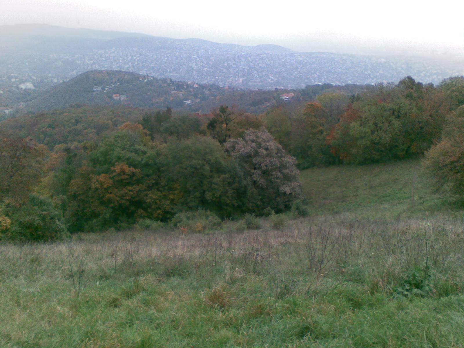 Innen nézve sem rózsás a helyzet.