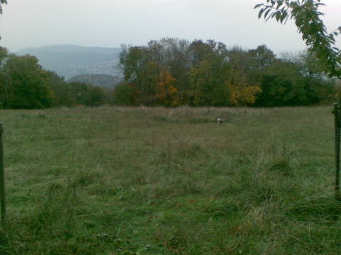 Ez a rész már kevésbé bíztató.